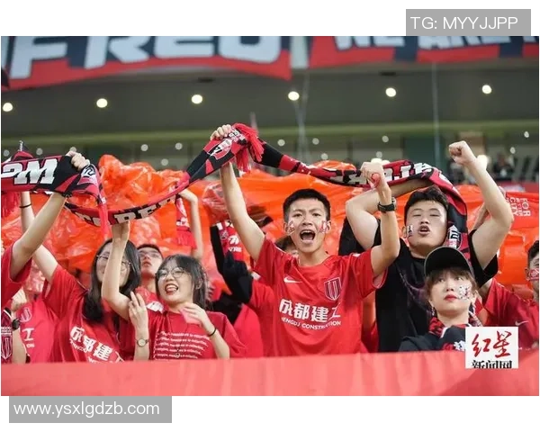 成都乒乓球队实力引发热议球迷观点分歧背后的深层原因分析 成都乒乓球队实力引发热议球迷观点分歧背后的深层原因分析