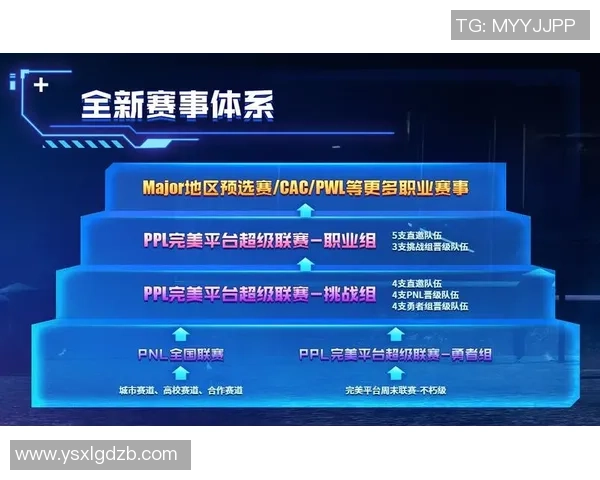 聚焦CSGOIG战队的强大实力与未来发展潜力分析